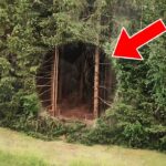 Hunter Finds Strange Hole In The Forest, He Screams When Realizing What It Leads To